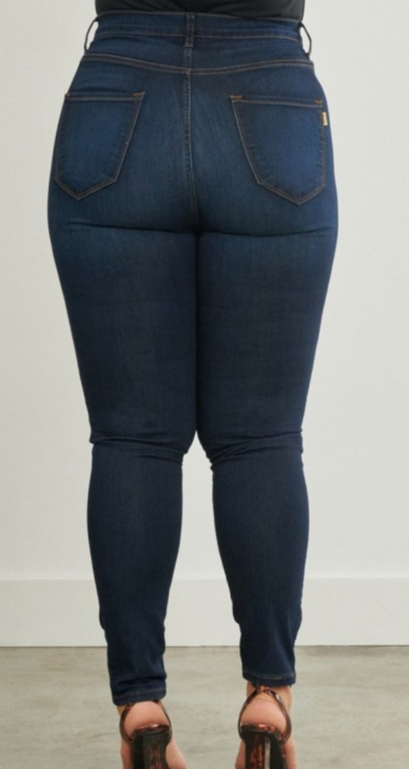 Indigo Beauty Plus Size Skinny Jeans – All That She Needs